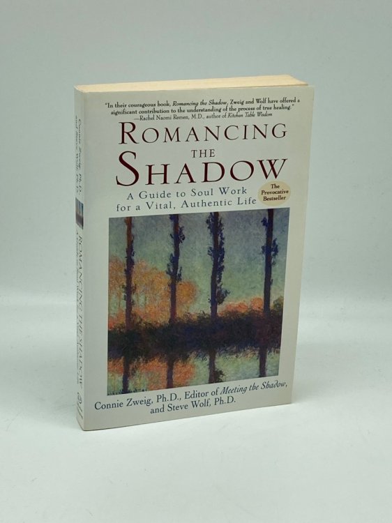 Image for Romancing the Shadow A Guide to Soul Work for a Vital, Authentic Life Romancing the Shadow A Guide to Soul Work for a Vital, Authentic Life