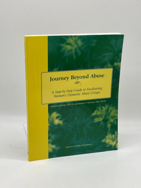Image for Journey Beyond Abuse A Step-By-Step Guide to Facilitating Women's Domestic Abuse Groups Journey Beyond Abuse A Step-By-Step Guide to Facilitating Women's Domestic Abuse Groups