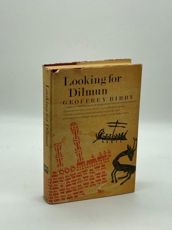 Looking for Dilmun