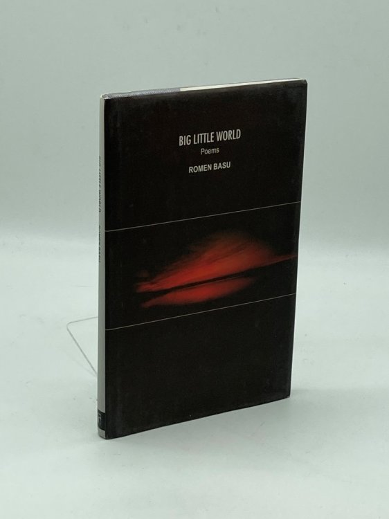 Image for Big Little World Big Little World