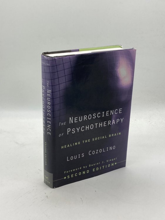 The Neuroscience of Psychotherapy Healing the Social Brain