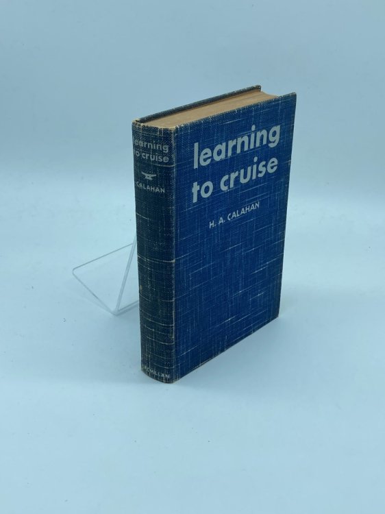 Learning to Cruise