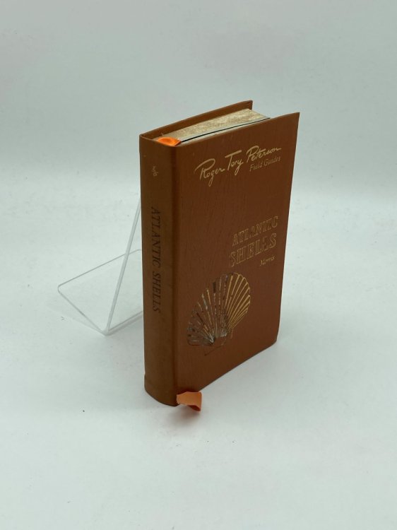 Atlantic Shells Roger Tory Peterson Field Guides