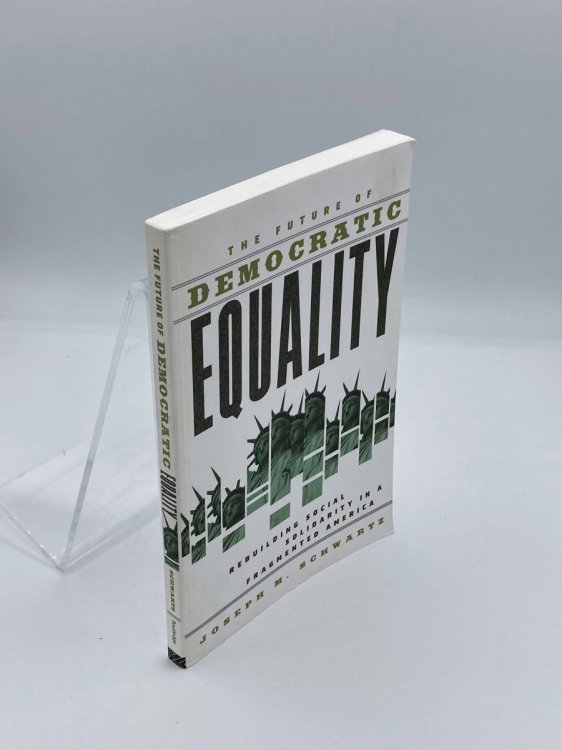Image for The Future of Democratic Equality The Future of Democratic Equality