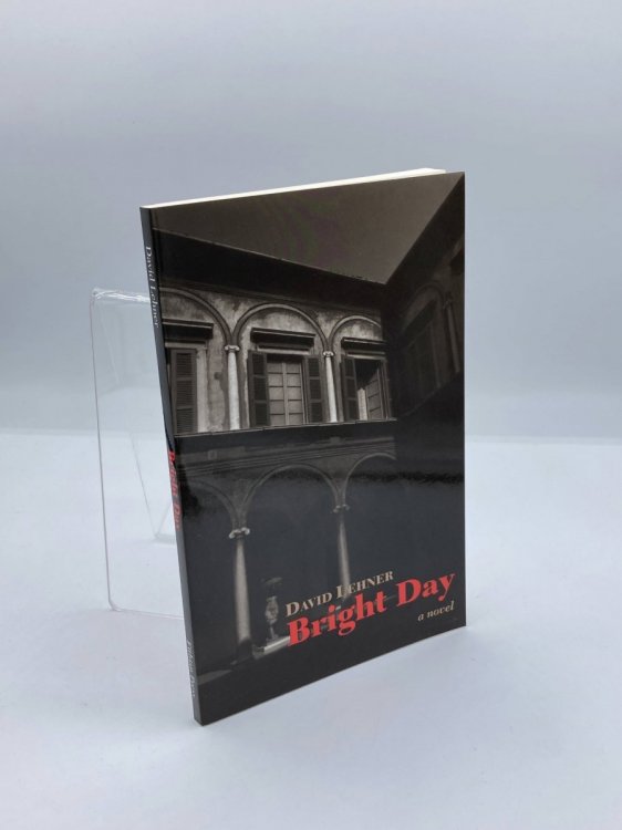 Image for Bright Day; A Novel Bright Day; A Novel