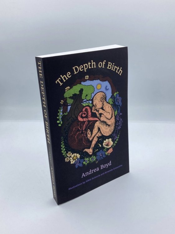 Image for The Depth of Birth The Depth of Birth