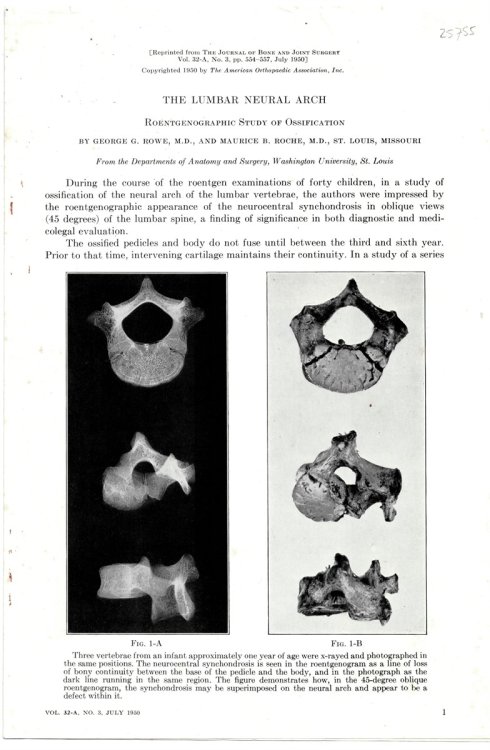 Image for The Lumbar Neural Arch. Reprinted from the Journal of Bone and Joint Surgery Volume 32 a No. 3, July 1950 The Lumbar Neural Arch. Reprinted from the Journal of Bone and Joint Surgery Volume 32 a No. 3, July 1950
