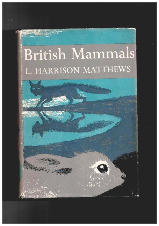 Image for British Mammals British Mammals