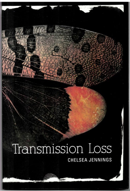 Image for Transmission Loss Transmission Loss