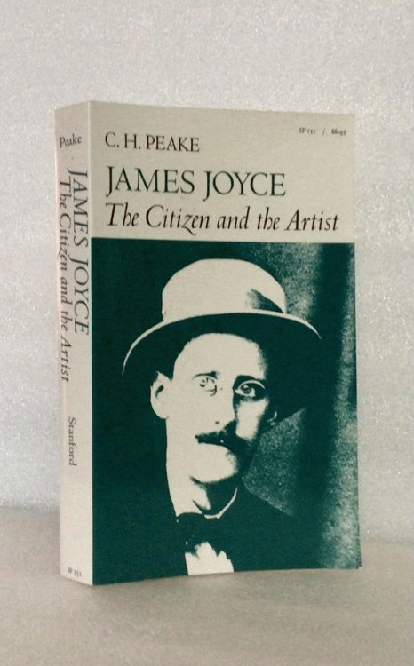 Image for James Joyce: The Citizen and the Artist James Joyce: The Citizen and the Artist
