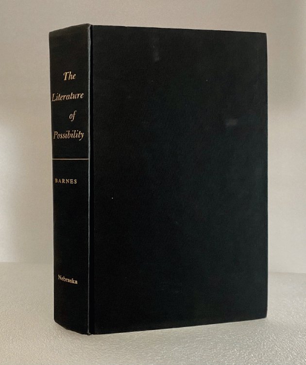 Literature of Possibility