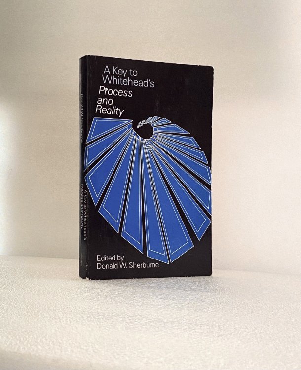 Image for A Key to Whitehead's Process and Reality A Key to Whitehead's Process and Reality