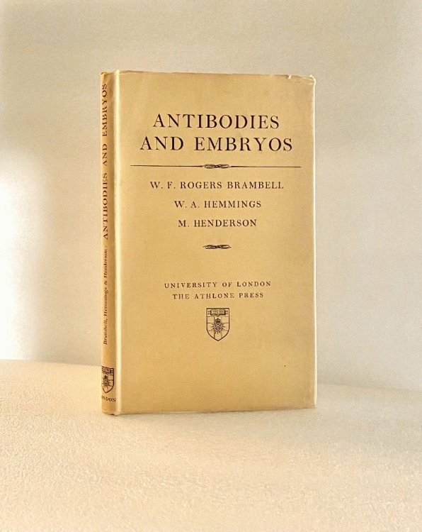 Image for Antibodies and Embryos Antibodies and Embryos