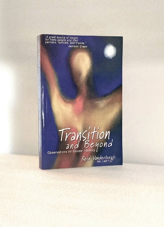 Image for Transition and Beyond, Observations On Gender Identity Transition and Beyond, Observations On Gender Identity