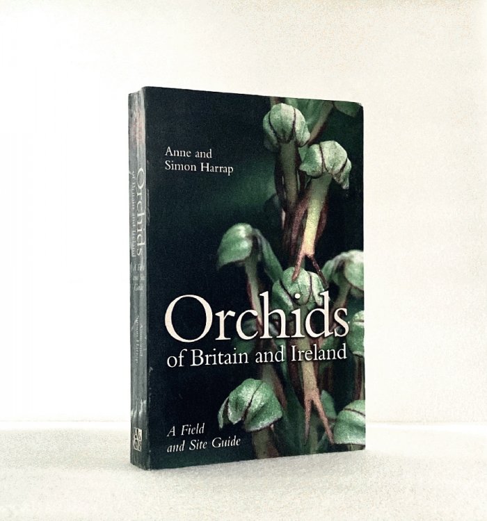 Image for Orchids of Britain and Ireland : A Field and Site Guide Harrap, Anne and Harrap, Simon Orchids of Britain and Ireland : A Field and Site Guide Harrap, Anne and Harrap, Simon