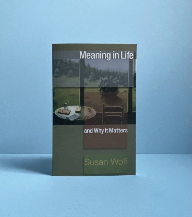 Meaning in Life and Why It Matters (The University Center for Human Values Series, 40)