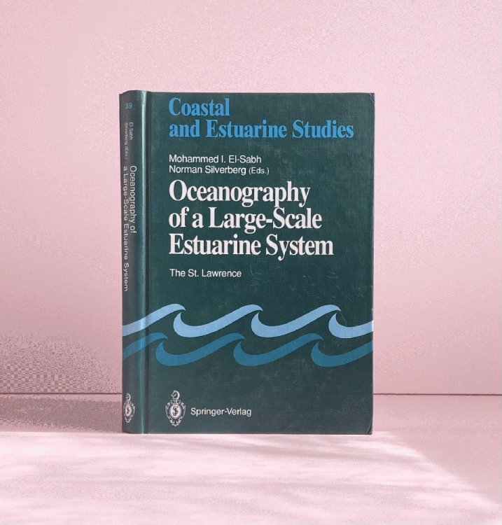 Image for Oceanography of a Large-Scale Estuarine System: The St. Lawrence (Coastal and Estuarine Studies) Oceanography of a Large-Scale Estuarine System: The St. Lawrence (Coastal and Estuarine Studies)