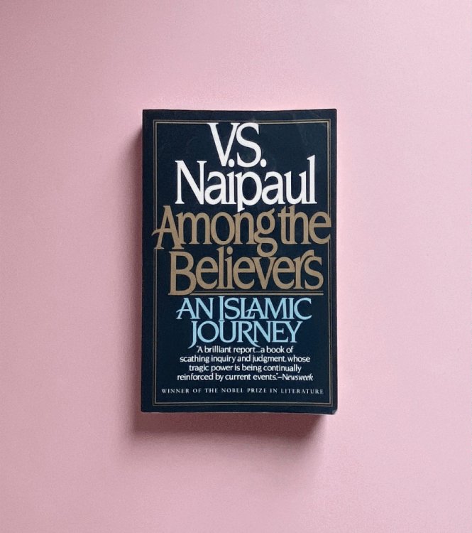 Image for Among the Believers: An Islamic Journey Among the Believers: An Islamic Journey