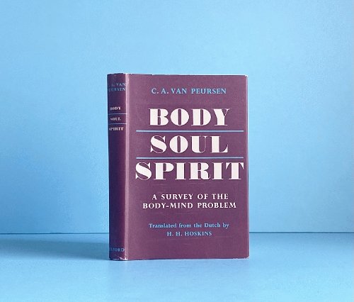 Image for Body, Soul, Spirit: a Survey of the Body-Mind Problem Body, Soul, Spirit: a Survey of the Body-Mind Problem