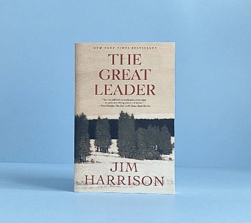 The Great Leader: A Faux Mystery