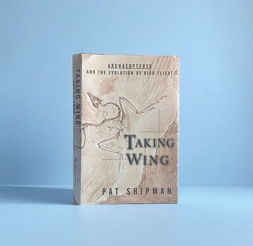 Image for Taking Wing: Archaeopteryx and the Evolution of Bird Flight Taking Wing: Archaeopteryx and the Evolution of Bird Flight