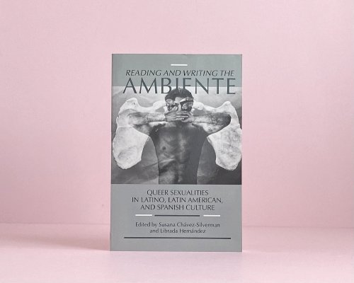 Image for Reading and Writing the Ambiente: Queer Sexualities in Latino, Latin American, and Spanish Culture Reading and Writing the Ambiente: Queer Sexualities in Latino, Latin American, and Spanish Culture