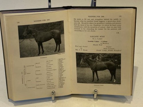 Winners For 1946