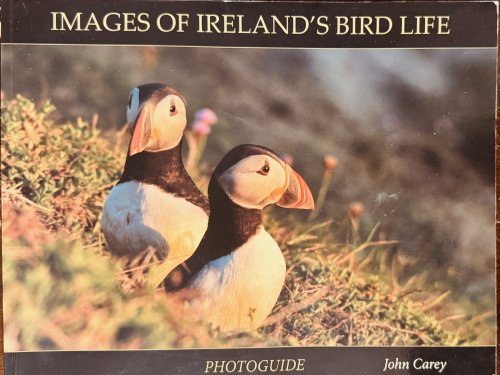 Image for Images of Ireland's Bird Life: Photoguide Images of Ireland's Bird Life: Photoguide