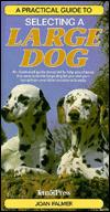 A Practical Guide to Selecting a Large Dog