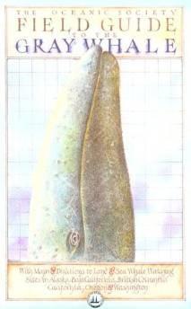 Field Guide to the Gray Whale