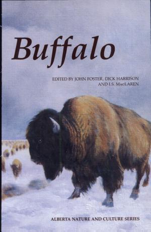 Buffalo