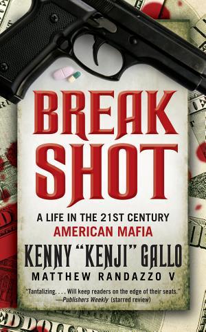 9780586087022Breakshot