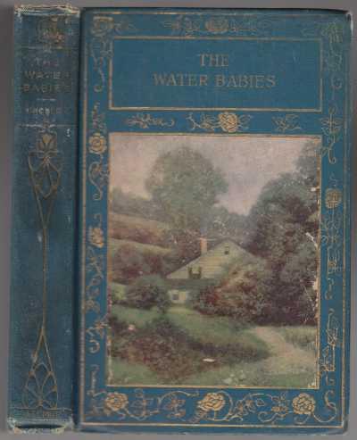 Image for The Water Babies A Fairy Tale For A Land-Baby The Water Babies A Fairy Tale For A Land-Baby
