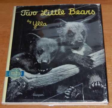 Image for Two Little Bears Two Little Bears