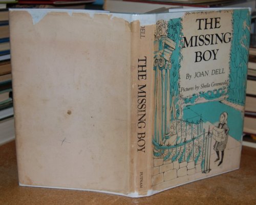 Image for The Missing Boy The Missing Boy