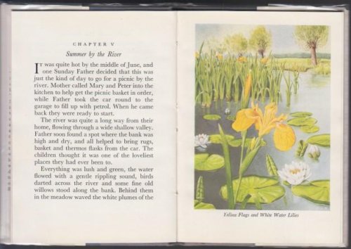 Image for Wild Flowers Wild Flowers