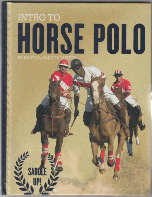 Intro To Horse Polo