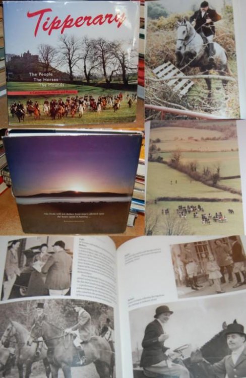 Image for Tipperary The People The Horses The Hounds A Celebration in Words and Pictures Tipperary The People The Horses The Hounds A Celebration in Words and Pictures