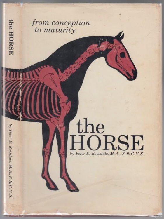 Image for The Horse From Conception to Maturity The Horse From Conception to Maturity