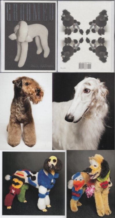 Image for Groomed Groomed