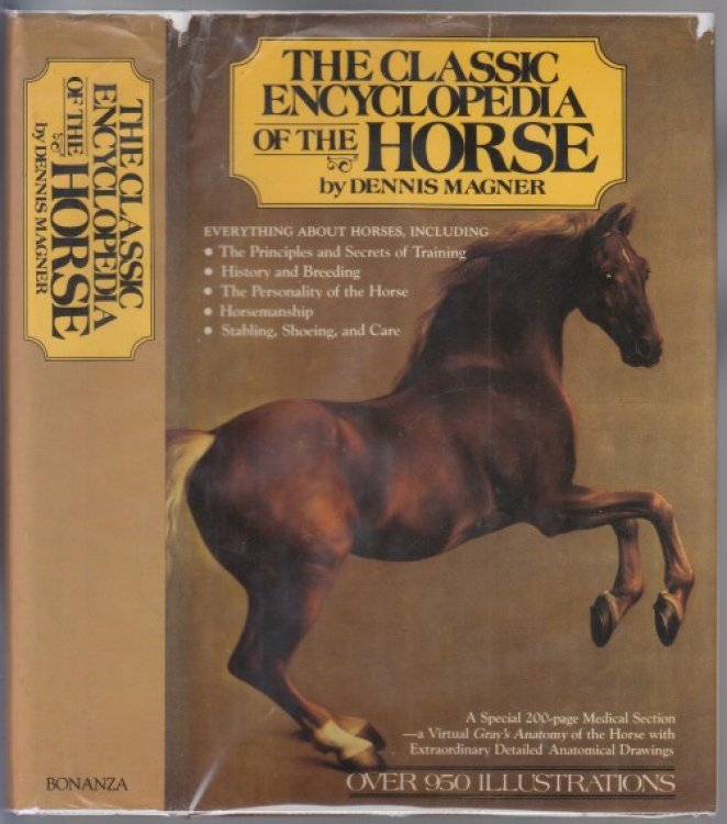 Image for The Classic Encyclopedia Of The Horse The Classic Encyclopedia Of The Horse