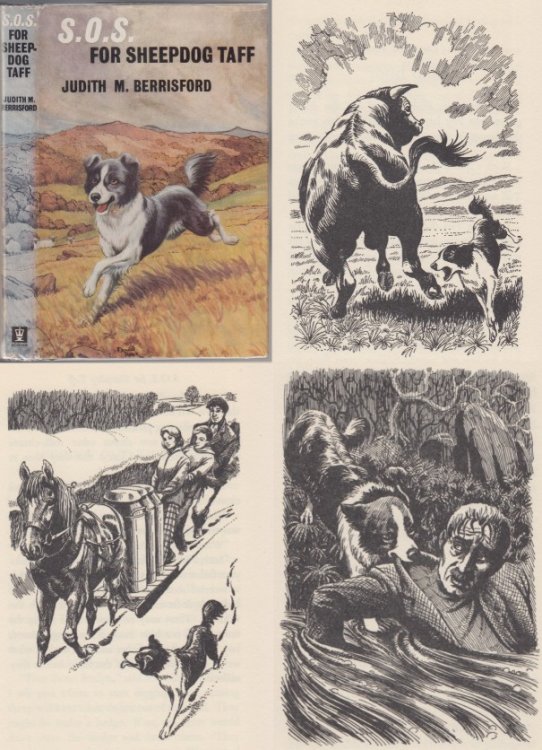 Image for S.O.S. For Sheepdog Taff S.O.S. For Sheepdog Taff