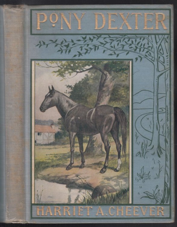Image for The Adventures of Pony Dexter The Adventures of Pony Dexter