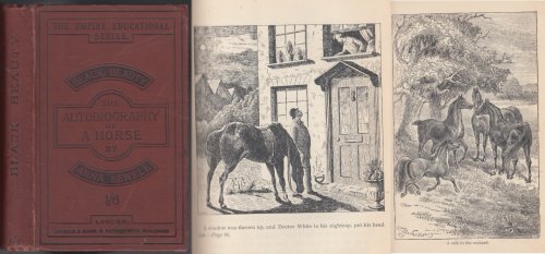 Image for Black Beauty The Autobiography of a Horse Black Beauty The Autobiography of a Horse