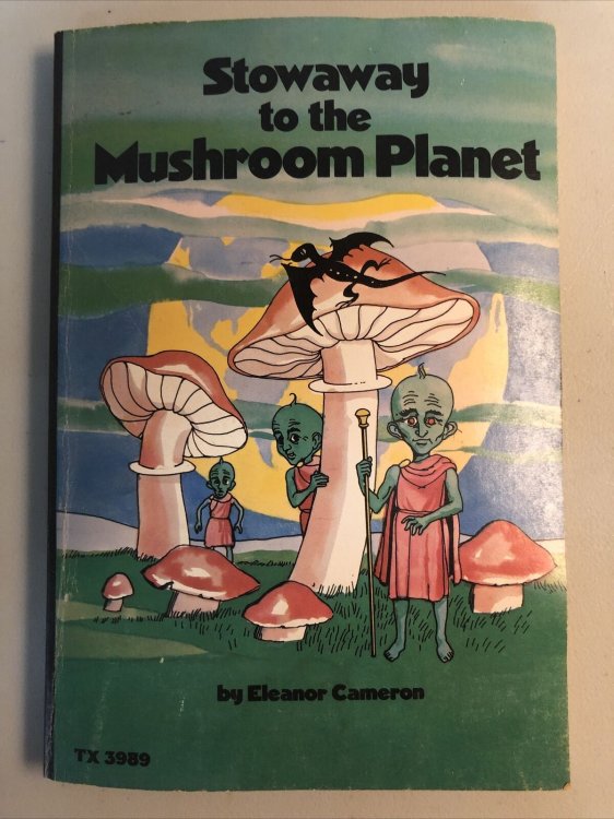 Image for Stowaway to the Mushroom Planet Stowaway to the Mushroom Planet