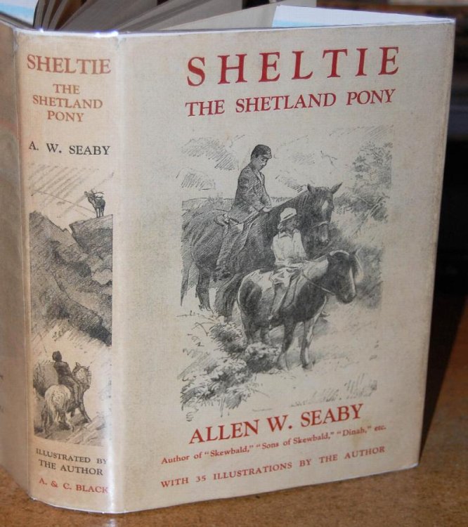 Sheltie The Story Of A Shetland Pony