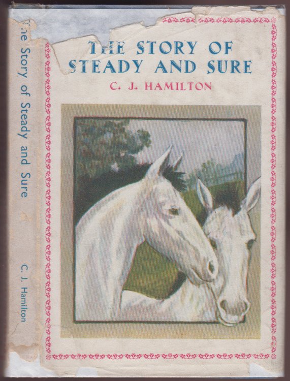 Image for The Story of Steady and Sure The Story of Steady and Sure