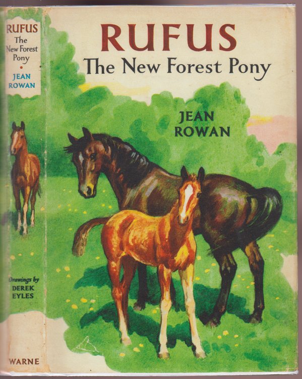 Image for Rufus the New Forest Pony Rufus the New Forest Pony