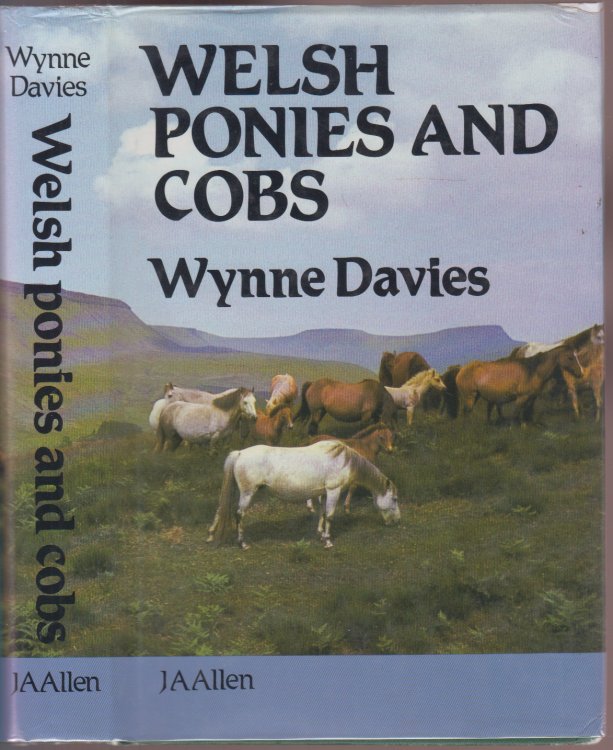 Welsh Ponies and Cobs