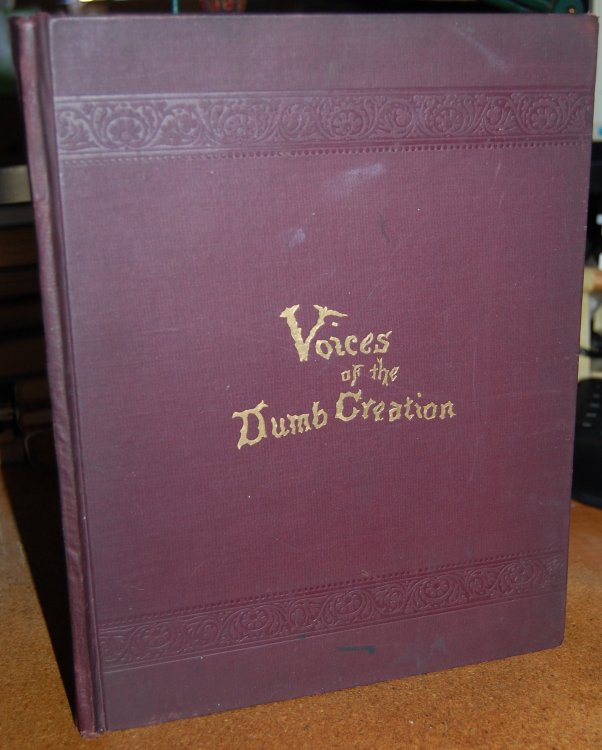 Voices of the Dumb Creation